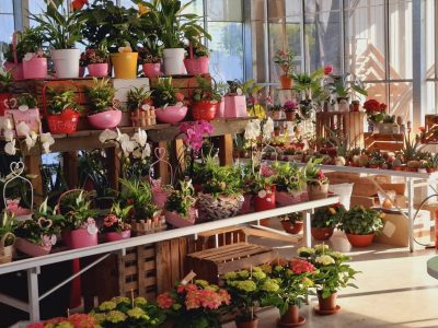 501177109_1372963520933246_8880656921882523223_n